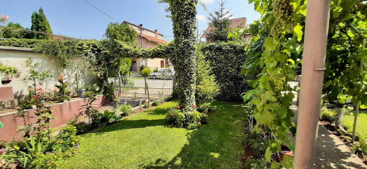 Exclusive Apartment Paraćin Exterior foto
